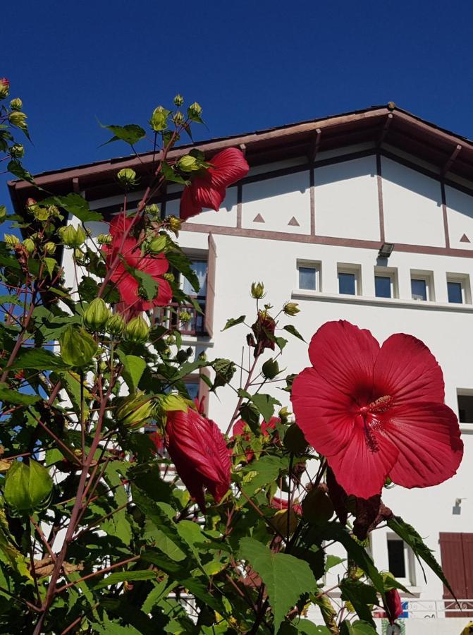 Hotel Pyrenees Atlantique Saint-Pee-sur-Nivelle Bagian luar foto