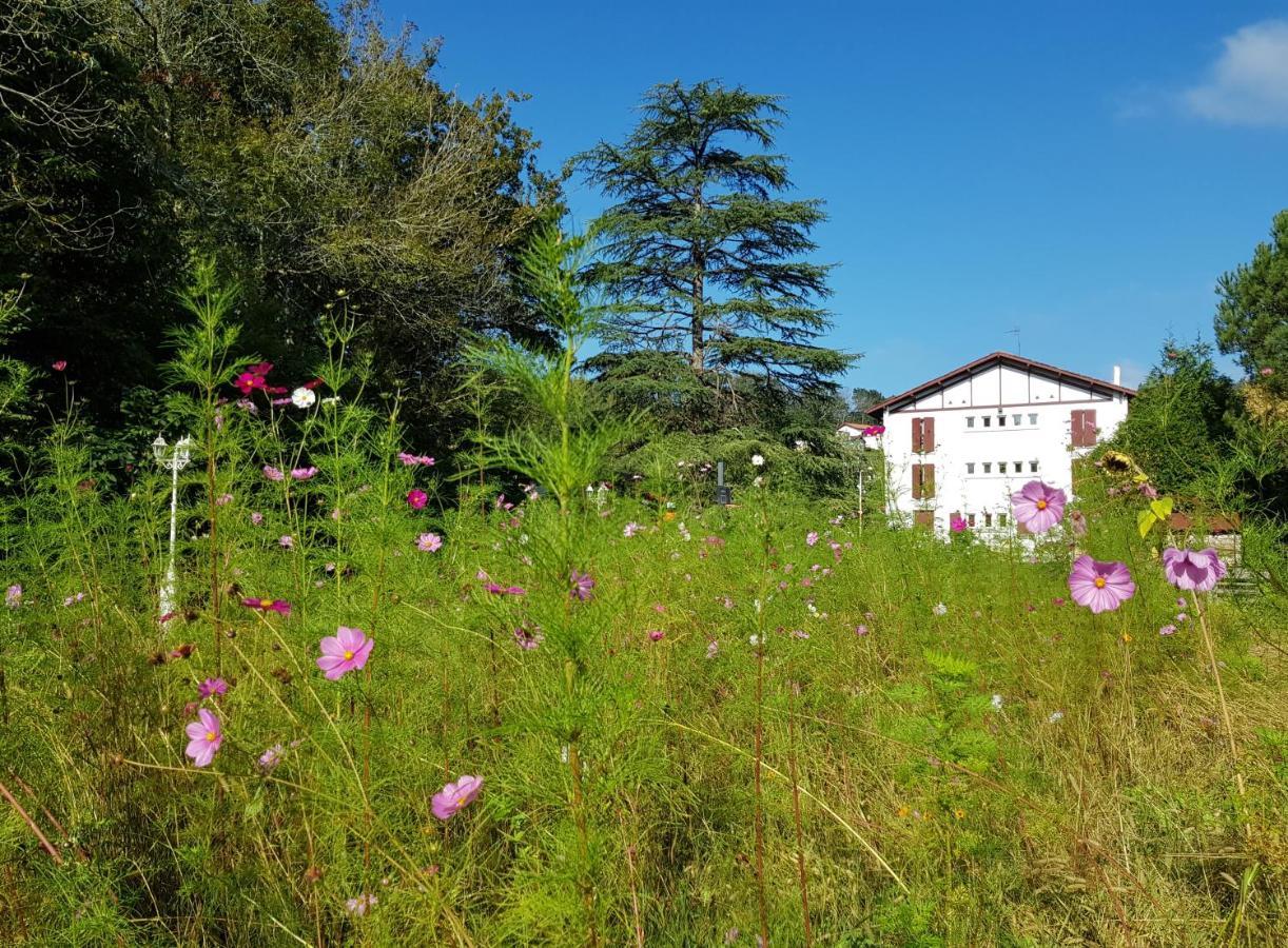 Hotel Pyrenees Atlantique Saint-Pee-sur-Nivelle Bagian luar foto
